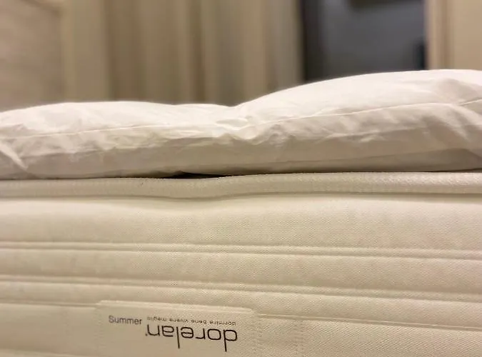 Nz 게스트하우스 폴리뇨